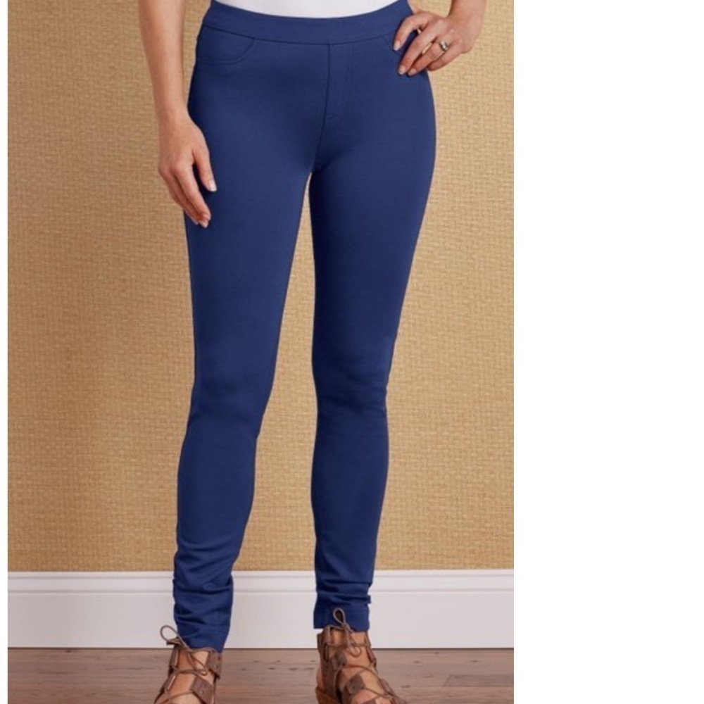 Soft Surroundings Super Sleek Leggings